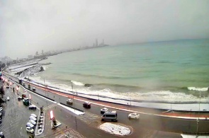Tamar Mepe Avenue. View 1. Batumi webcams online