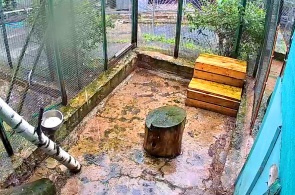 Mini-zoo Ecological and biological center. Webcams Petrozavodsk