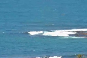 Shark Island Sydney web camera online