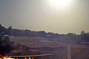 Savannah. Zoo. Webcams Work
