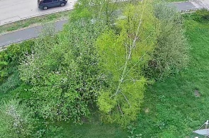 Salavat Yulaev Avenue. Angle 3. Baymak webcams online