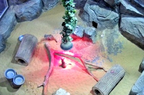 Tula Exotarium. Tula webcams online
