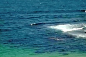 Cronulla Point. Sydney web camera online